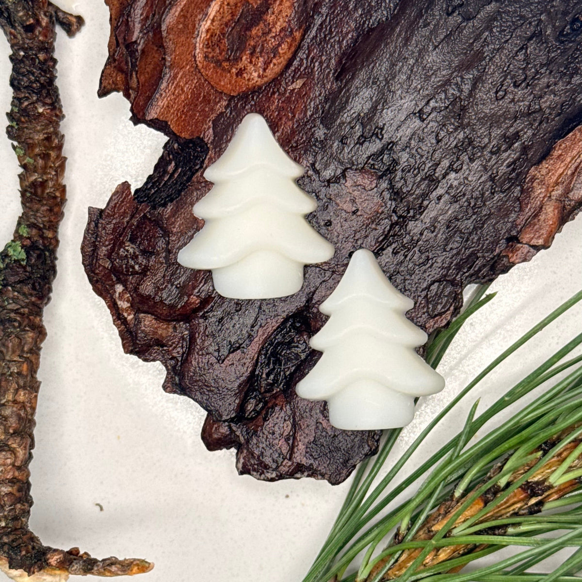 Evergreen Candle